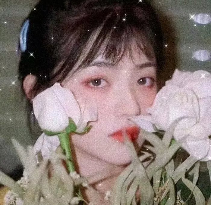 如翼之舟