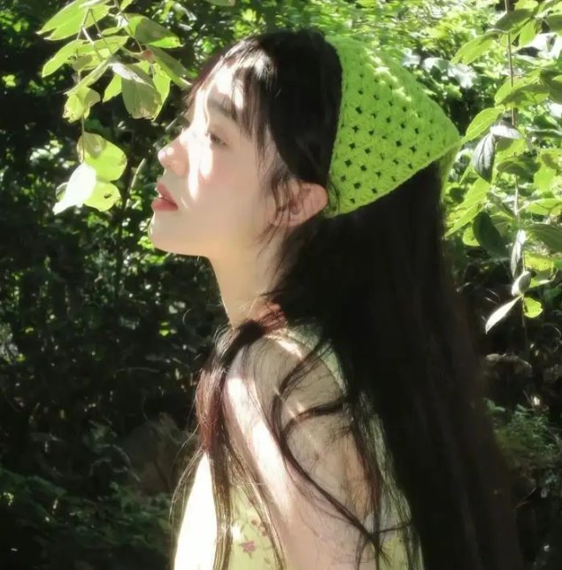 菊石